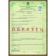 Карантинный сертификат фото