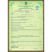 Регистрация в карантинной службе. Карантинный сертификат фото