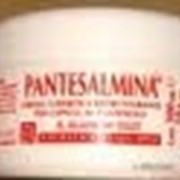 Gestil pantesalmina регенерирующий крем бальзам для волос 300 ml фото