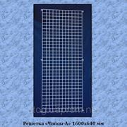 Торговая решетка “Чипсы-А“ 160х64 см (ячейка 5х5 см) фотография