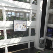 Реклама ТРЦ г.Астаны фото