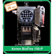 Котел твердотопливный BioFire300P фото