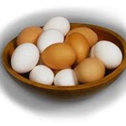 Яйцо столовое, Домашнее куриное яйцо, Яйца экологические, Яйца домашние