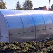 Теплица Сибирская 20Ц-1, 6 м. фото