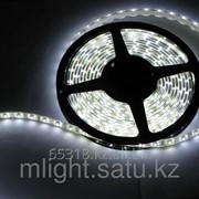 Светодиодная лента Mlight LED 12V 5050 60 IP65 фото