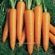 Семена моркови Вита Лонга F1