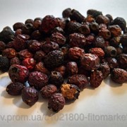Боярышник однопестичный (Crataegus monogyna, fruit Common hawthorn) плоды 100 грамм фото