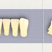Искусственные зубы гарнитурные трехслойные акриловые фирмы «PoliDent». фото
