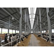 Проектирование ферм. МТФ на 1200 коров с воспроизводством стада