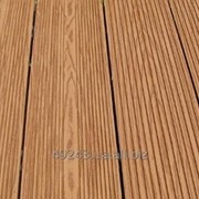 Терасна дошка TardeХ Lite Wood 140x20x2200 мм