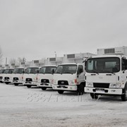 Грузовые автомобили и автобусы HYUNDAI фото