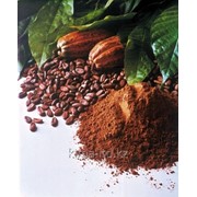 Жидкий ароматизатор Какао-масло R2734 фотография