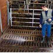 Системы мойки свинарников фото