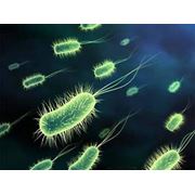 Дезинфекция | Уничтожение микробов