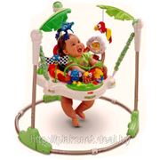 Прыгунки напольные Fisher Price “Тропический лес“ фото