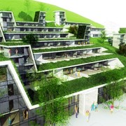 Озеленение крыш домов фото