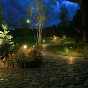 Освещение в ландшафтном дизайне фото