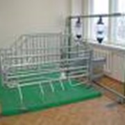 Оборудование для животноводства, птицеводства, пчеловодства, ветеринарии фото