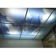 УФ фотопечать на потолочных и стеновых панелях - 140 грн/м2 фото