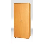 Шкаф для одежды и книг закрытый 2-дверный 802х519х1816 мм