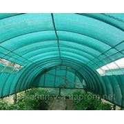 Затеняющая сетка (размер рулона 4*50м, 200 м.кв. зеленый) фото