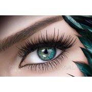 Семинар по наращиванию ресниц!! фото