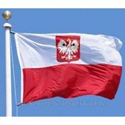 Экспресс-курс польского языка (А1)
