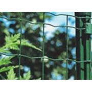 ТМ “Сітка Захід“ Сетка “Рабица“ в ПВХ 35х35/2,5мм 1,2/10м(зеленая,синяя) фото