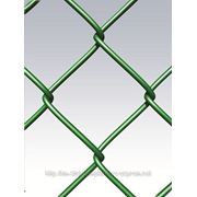 Сітка рабиця в ПВХ ( зелена ) 50Х50мм/2,5мм,1,0м-10м фотография