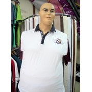 Мужская футболка Артикул: 4027-3, больших размеров оптом и в розницу