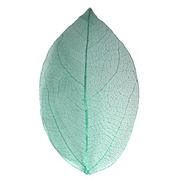 Сухой лист 09 зелёный (2 шт.) фото