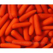 Морковь молодая (2,5кг/уп)
