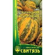 Семена тыква “Украинский многоплодна“, 20 шт. (5-6 гр). фото