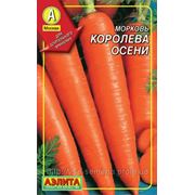 Морковь дражированная Королева Осени фото