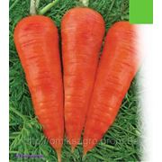 Морковь «Шантане Красное Сердце» 500 гр. (CLAUSE), банка. фото