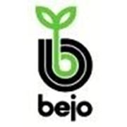 Семена Bejo (Бейо) Голландия фотография