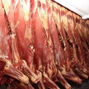 Мясо, Мясо цены Украина фото