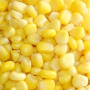 Семена кукурузы ароматная фото