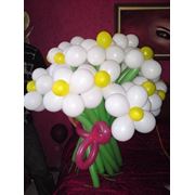 Цветы и букеты из шаров -Днепропетровск и Днепропетровская область фото