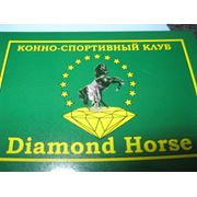 КСК DIAMOND HORSE фото