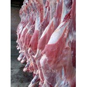 Мясо говядина в четвертинах фотография