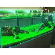 Изготовлениетехническое оснощениеоформление и сервисное обслуживание аквариумов.