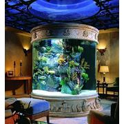 Подбор декораций для аквариумов оформление аквариумов фотография
