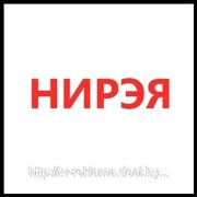 Нирэя (Гомель) фотография