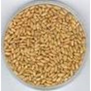 Мука пшеничная высший сорт ООО Энлиль