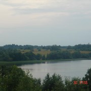 Участок 42,7 Га на берегу озера Ужо в Псковской области