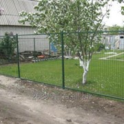 Сетка сварная ПВХ рулонного типа фото