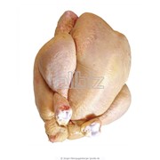 Мясо цыплят фото