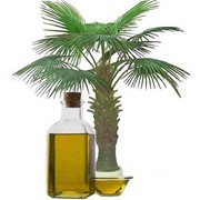 Пальмовое масло 99,9%