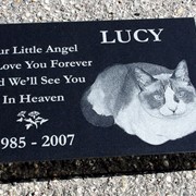Надгробье для кошки гранитное фото